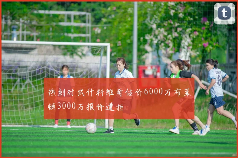 热刺对武什科维奇估价6000万布莱顿3000万报价遭拒